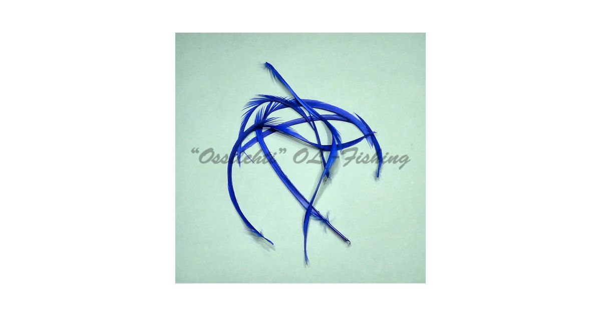 hanhen-h-yhen-biots-siikaset-hanhi-tfh-royal-blue-5kpl