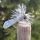 Grey Caddis CDC 2451E koko #10 Vania Flies