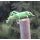 True Hopper Green 2552F #10 koko Vania Flies