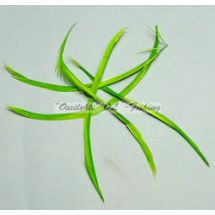 Hanhen (höyhen) biots siikaset hanhi TFH™, "Royal Green" 5kpl
