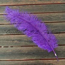 Strutsin sulka (höyhen) Purple jättikoko pituus 45 - 60 cm