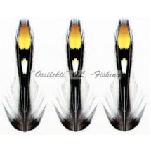 Viidakkokukko jäljitelmä silmähöyhen yellow 10mm imitaatio 20kpl