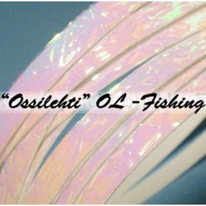 Crushed Pearl Transparent 3.8 mm vieheteippi
