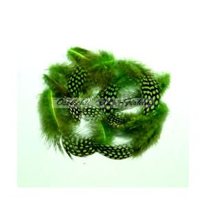 Helmikana Guinea Fowl vartalohöyhen lajiteltu irto 40 - 50 kpl BRIGHT GREEN