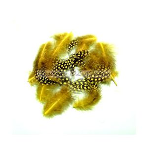 Helmikanan höyhen Guinea Fowl vartalohöyhen lajiteltu irto 40 - 50 kpl YELLOW