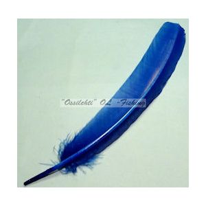 Kalkkunan sulka, sulat (siipisulka), Blue ei pareja 3kpl
