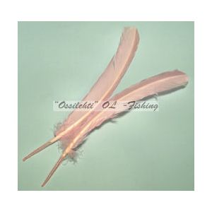 Kalkkunan sulkapari, sulat (siipisulka), Baby Pink 1kpl