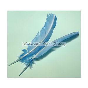 Kalkkunan sulkapari, sulat (siipisulka), Pale Blue 1pari