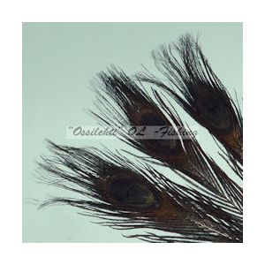 Ossilehti Albino Peacock Eyes (pohjaväri silvergrey) BLACK 3 kpl TFH™