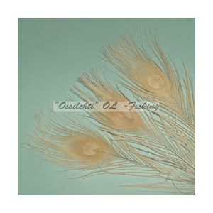 Ossilehti Albino Peacock Eyes (pohjaväri silvergrey) WHITE 3 kpl TFH™