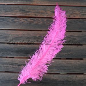 Strutsin sulka (höyhen) FLU HOT Pink sävy 2 jättikoko pituus 50 - 60 cm