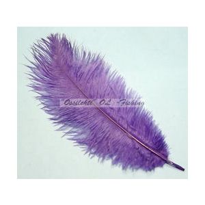 Strutsin sulka (höyhen) pyrstöhöyhen kokonainen, Purple