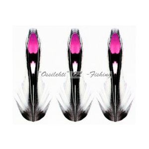 Viidakkokukko jäljitelmä silmähöyhen pink 15mm imitaatio 20kpl