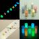 Fosforijauhe sininen 10g värijauhe pilkki glow powder jälkivalaiseva fluoresoiva pulveri TFH®