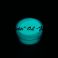 Fosforijauhe 10g Mint Green värijauhe glow powder jälkivalaiseva ja fluoresoiva pulveri värikoukkuihin TFH®