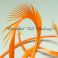 Hanhen (höyhen) biots siikaset hanhi TFH™, Bright Orange 5kpl