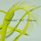 Hanhen (höyhen) biots siikaset hanhi TFH™, Chartreuse lime 5kpl