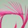 Hanhen (höyhen) biots siikaset hanhi TFH™, HOT Pink 5kpl
