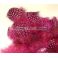 Helmikanan vartalohöyhen Guinea Fowl lajiteltu irto 40 - 50 kpl Fuchsia Red