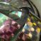 Hologrammiteippi uistinteippi Deep Bright Multicolour 2
