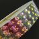 Hologrammi uistinteippi Round Deep Multicolour 8
