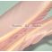 Kalkkunan sulkapari, sulat (siipisulka), Baby Pink 1kpl