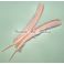Kalkkunan sulkapari, sulat (siipisulka), Baby Pink 1kpl