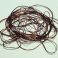 Smooth Maggot Flat Body String, Brown TFH™