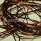 Smooth Maggot Flat Body String, Brown TFH™
