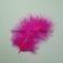 Marabou höyhen valikoitu TFH™ Hot Reddish Pink FL 10 kpl