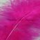 Marabou höyhen valikoitu TFH™ Hot Reddish Pink FL 10 kpl