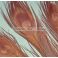 Ossilehti Albino Peacock Eyes (pohjaväri silvergrey) BROWN 3 kpl TFH™