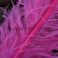 Strutsin sulka (höyhen) FLU HOT Pink sävy 2 jättikoko pituus 50 - 60 cm